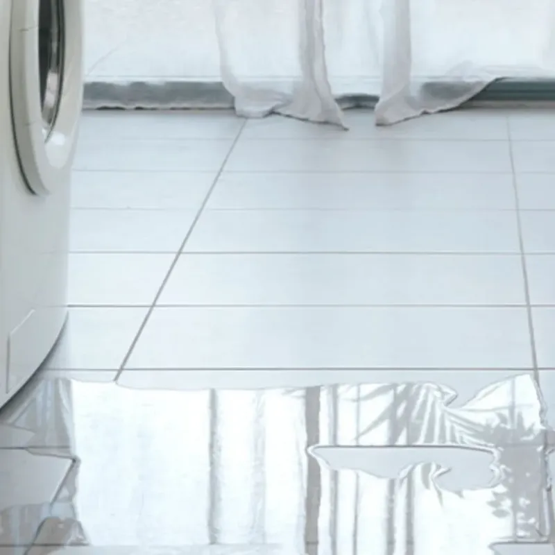Appliance Leak Cleanup in Edgerton, WI