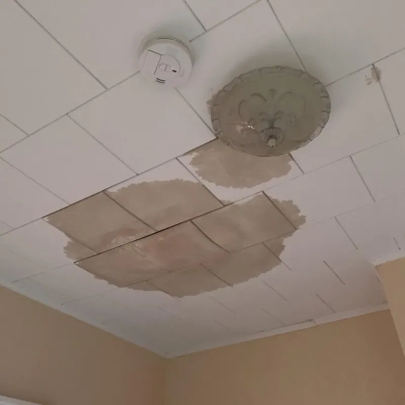Ceiling Water Damage Repair in Edgerton, WI