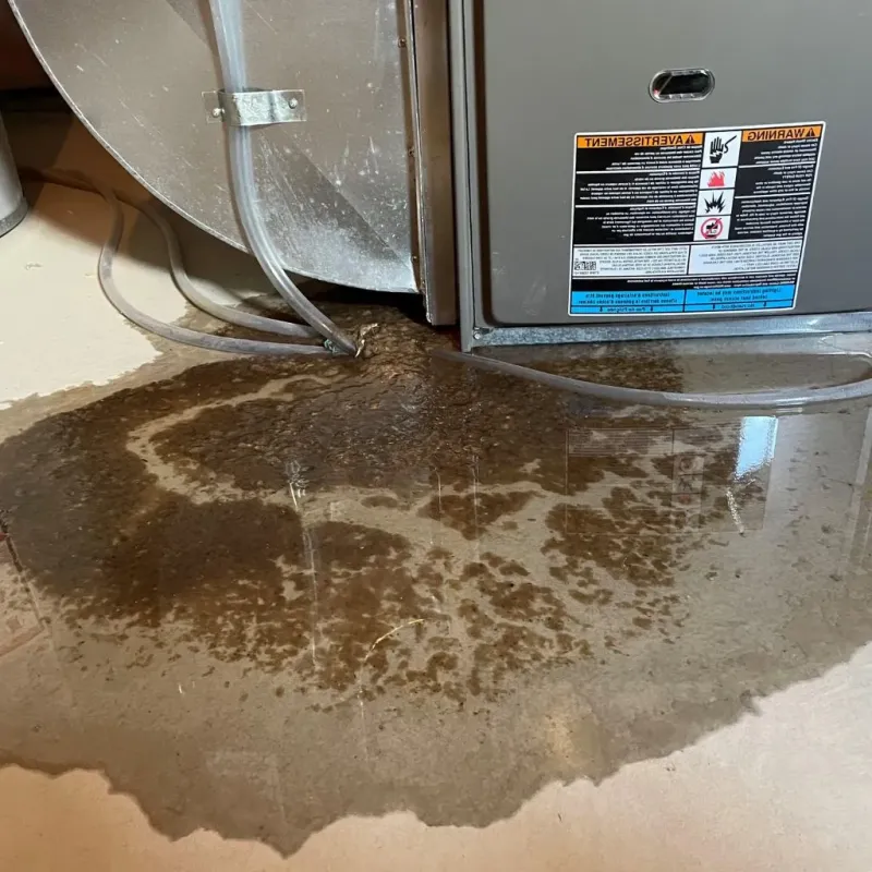Pipe Burst and Leak Restoration in Edgerton, WI