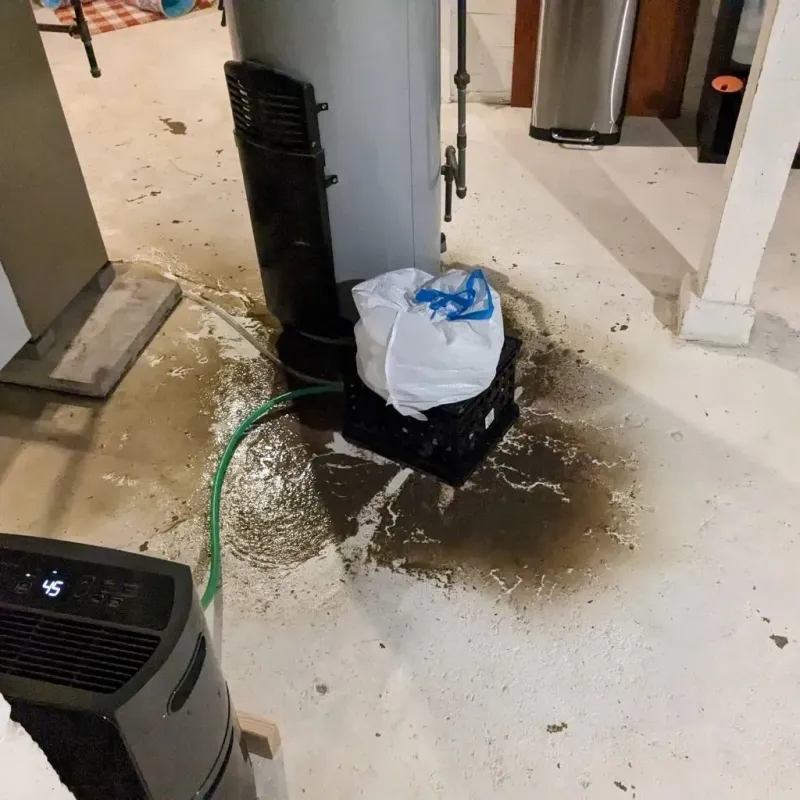 Sewage Backup Cleanup Service in Edgerton, WI